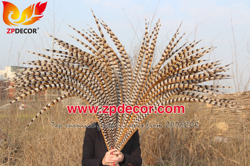 Zpdecor Feathers Wholesale 110-120 cm Natural Reeves Pheasant Tail Feathers