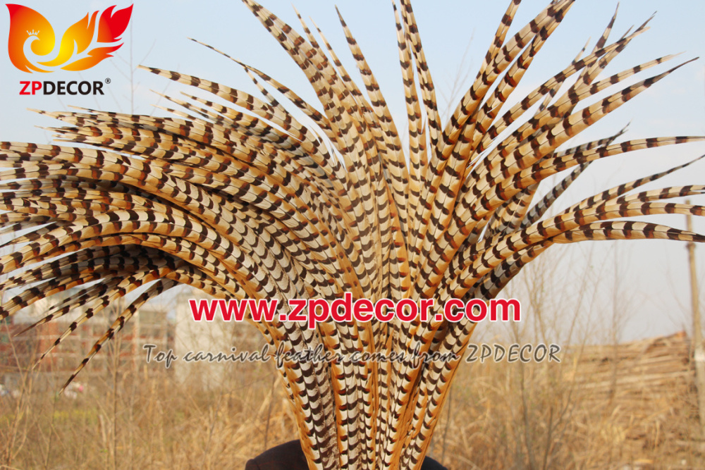 Zpdecor Feathers Wholesale 110-120 cm Natural Reeves Pheasant Tail Feathers
