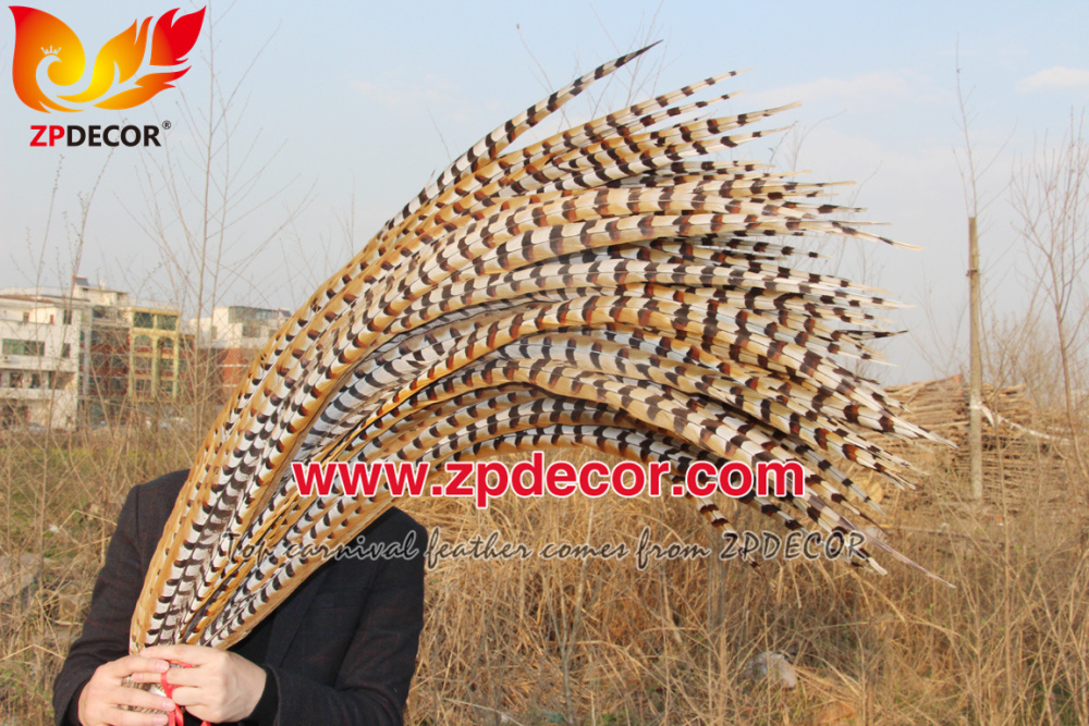 Zpdecor Feathers Wholesale 110-120 cm Natural Reeves Pheasant Tail Feathers