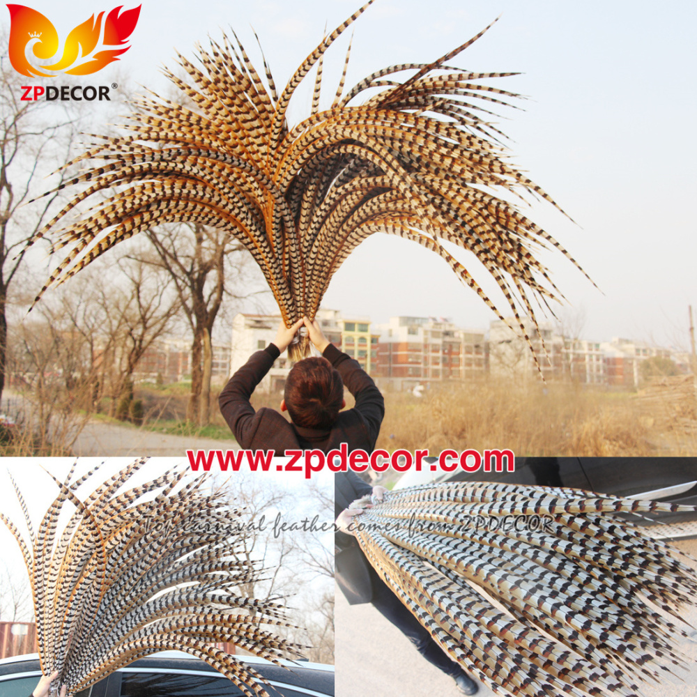 Zpdecor Feathers Wholesale 110-120 cm Natural Reeves Pheasant Tail Feathers