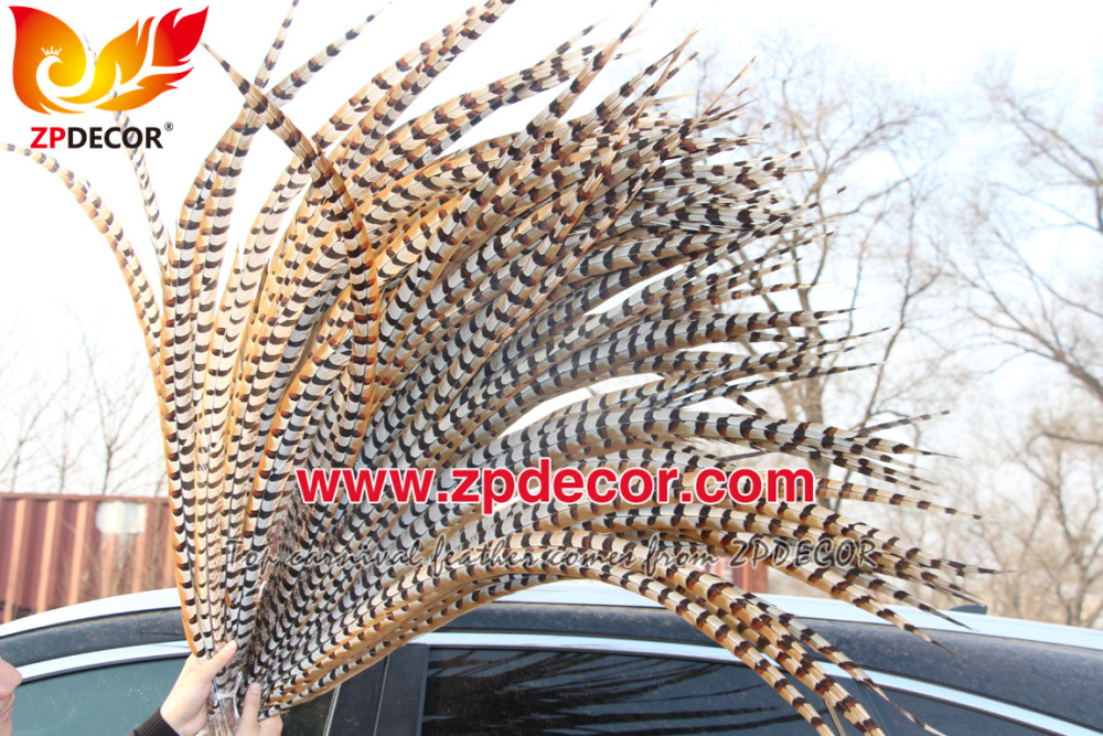 Zpdecor Feathers Wholesale 110-120 cm Natural Reeves Pheasant Tail Feathers
