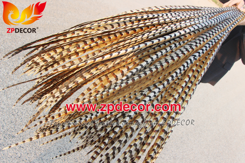 Zpdecor Feathers Wholesale 110-120 cm Natural Reeves Pheasant Tail Feathers