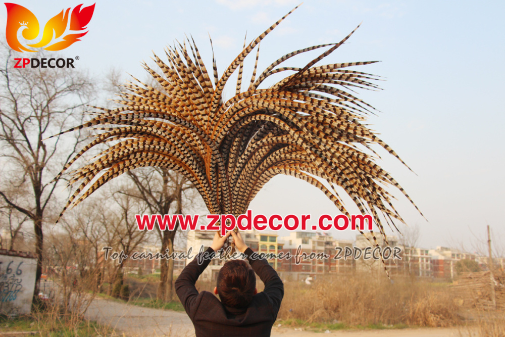 Zpdecor Feathers Wholesale 110-120 cm Natural Reeves Pheasant Tail Feathers