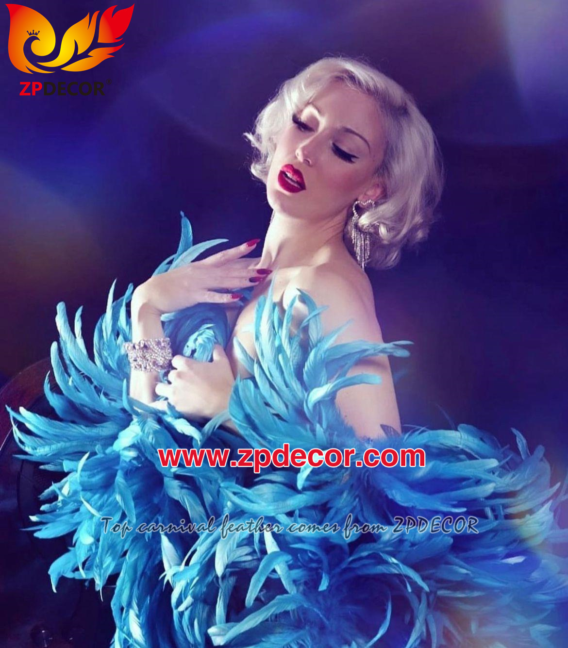 Zpdecor Feathers Factory Wholesale Rooster Coque Feathers Boa for Carnival Costumes