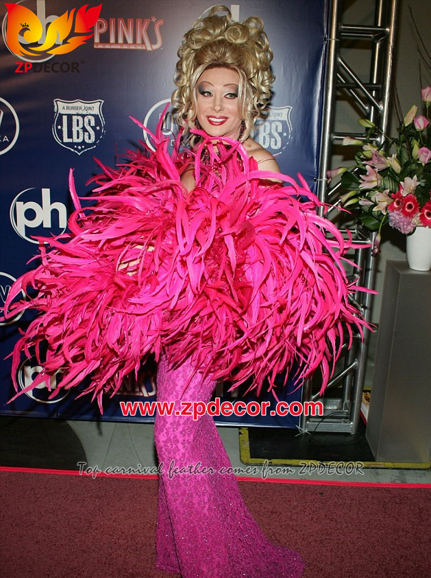 Zpdecor Feathers Factory Wholesale Rooster Coque Feathers Boa for Carnival Costumes