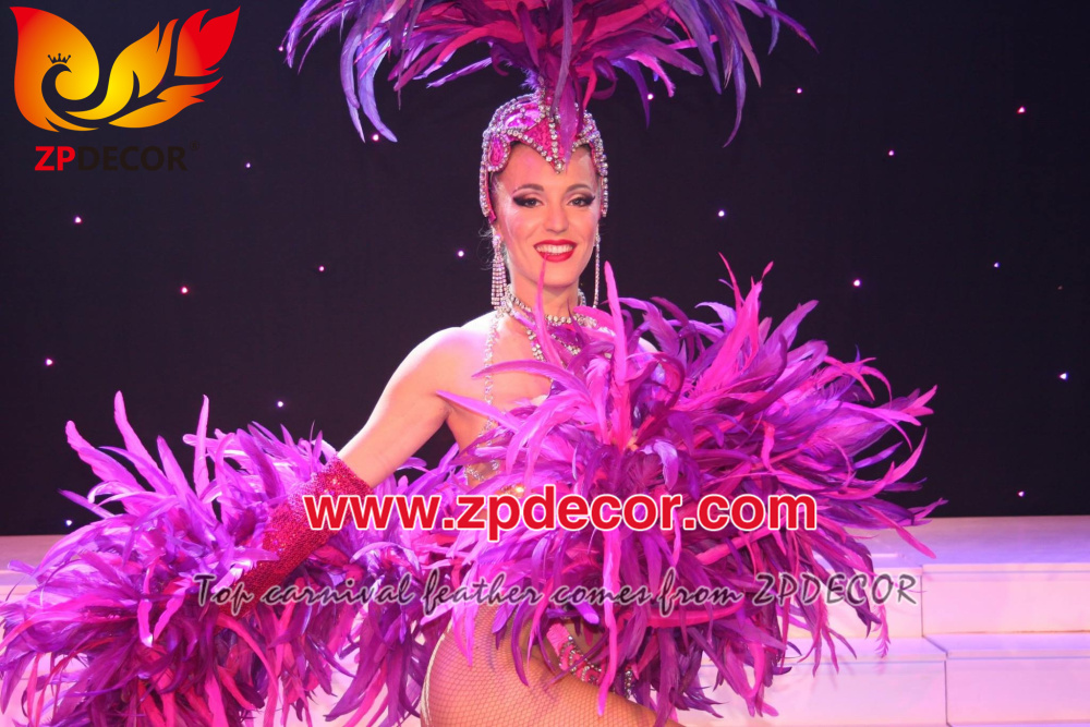 Zpdecor Feathers Factory Wholesale Rooster Coque Feathers Boa for Carnival Costumes