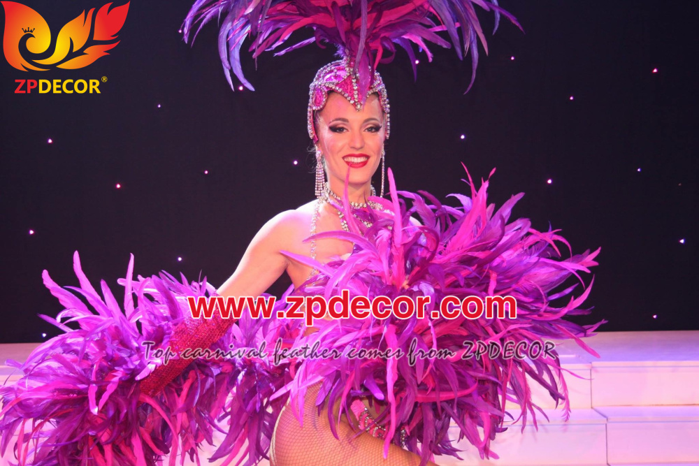 Zpdecor Feathers customized Coque feathers boa