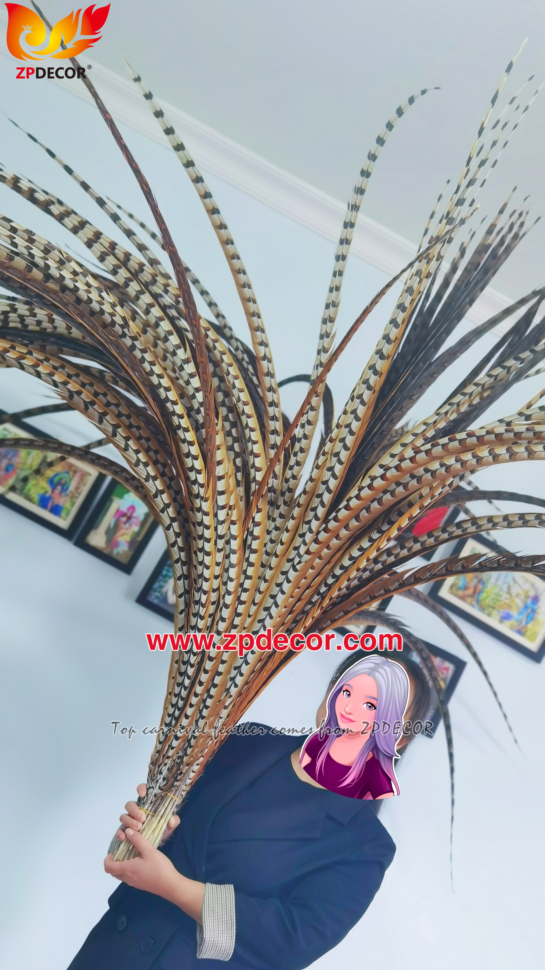 Factory Wholesale Natural Reeves Pheasant Feathers