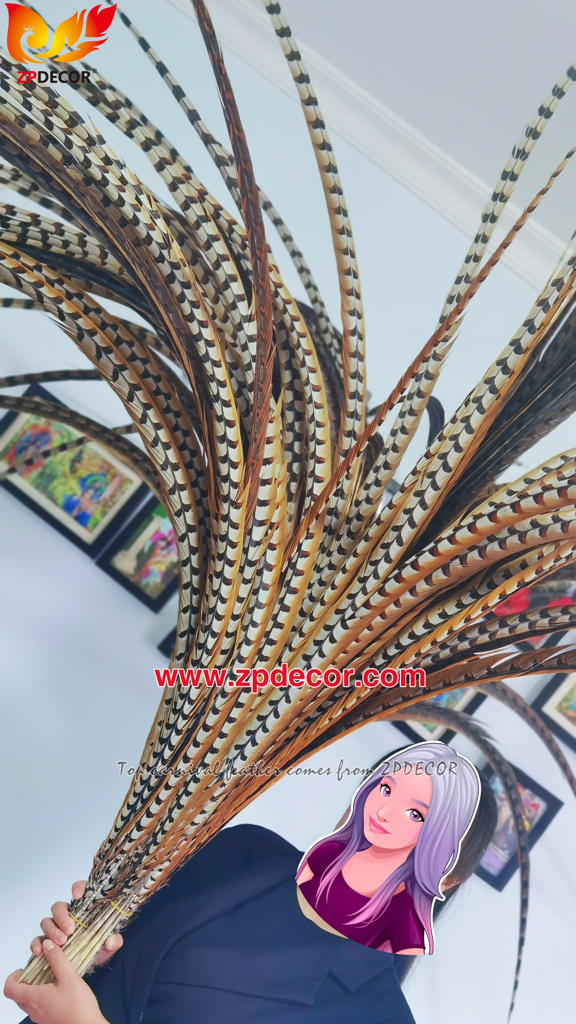 Factory Wholesale Natural Reeves Pheasant Feathers