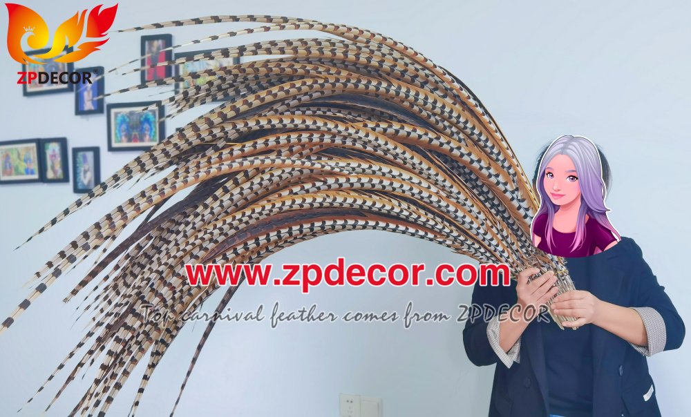 Zpdecor Wholesale Natural Reeves Pheasant Tail Feathers for Carnival Costumes