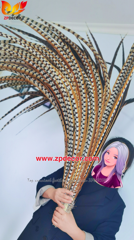 Factory Wholesale Reeves Pheasant Tail Feathers for Carnival Costumes