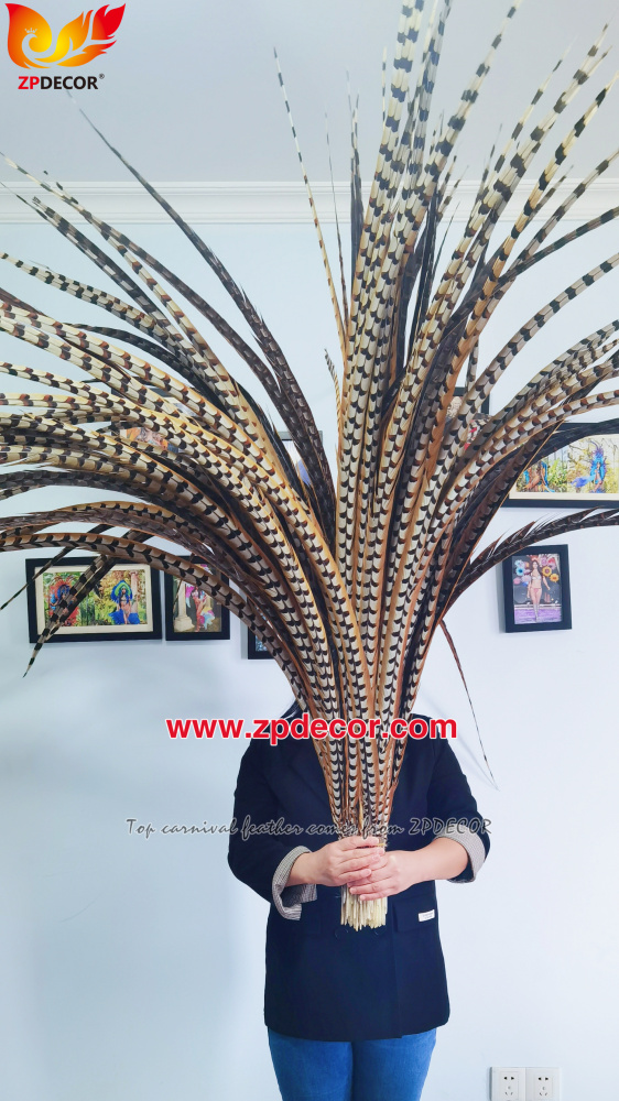 Zpdecor Factory Wholesale Natural Reeves Pheasant Feathers for Carnival Costumes