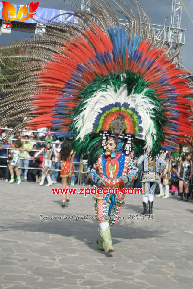 Factory Wholesale Reeves Pheasant Tail Feathers for Carnival Costumes