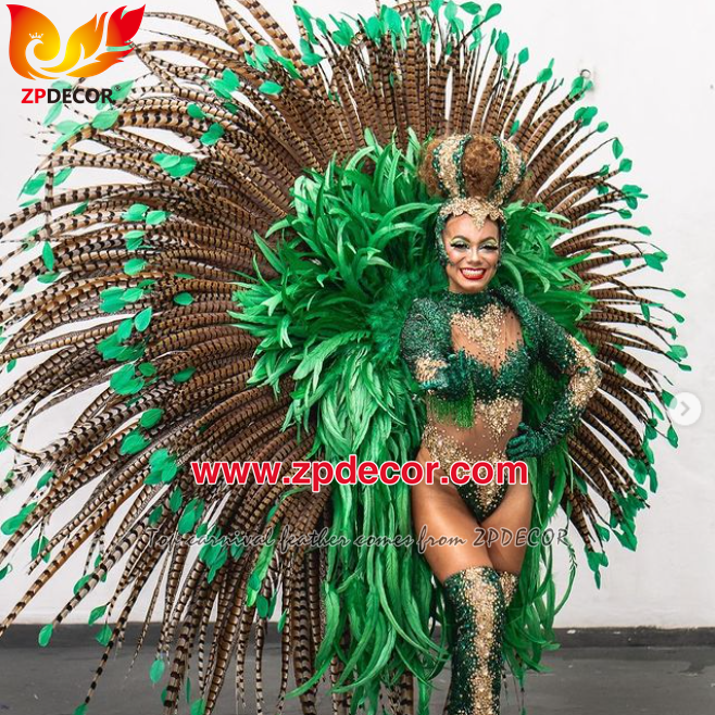 Zpdecor Factory Wholesale Natural Reeves Pheasant Feathers for Carnival Costumes