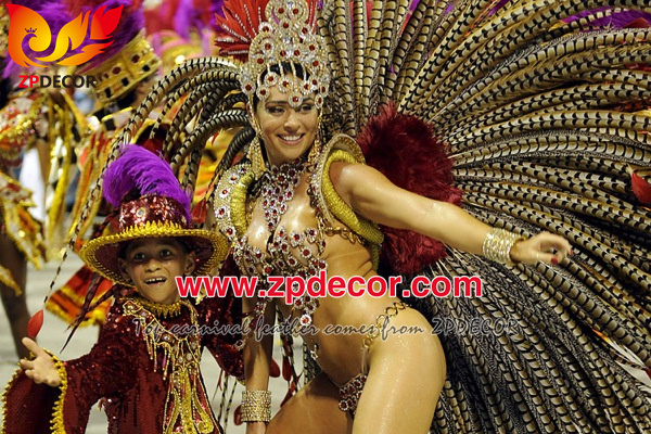 Factory Wholesale Reeves Pheasant Tail Feathers for Carnival Costumes