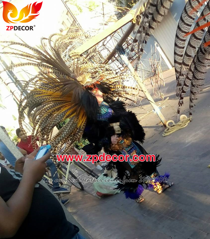 Zpdecor Wholesale Natural Reeves Pheasant Feathers for Carnival Costumes