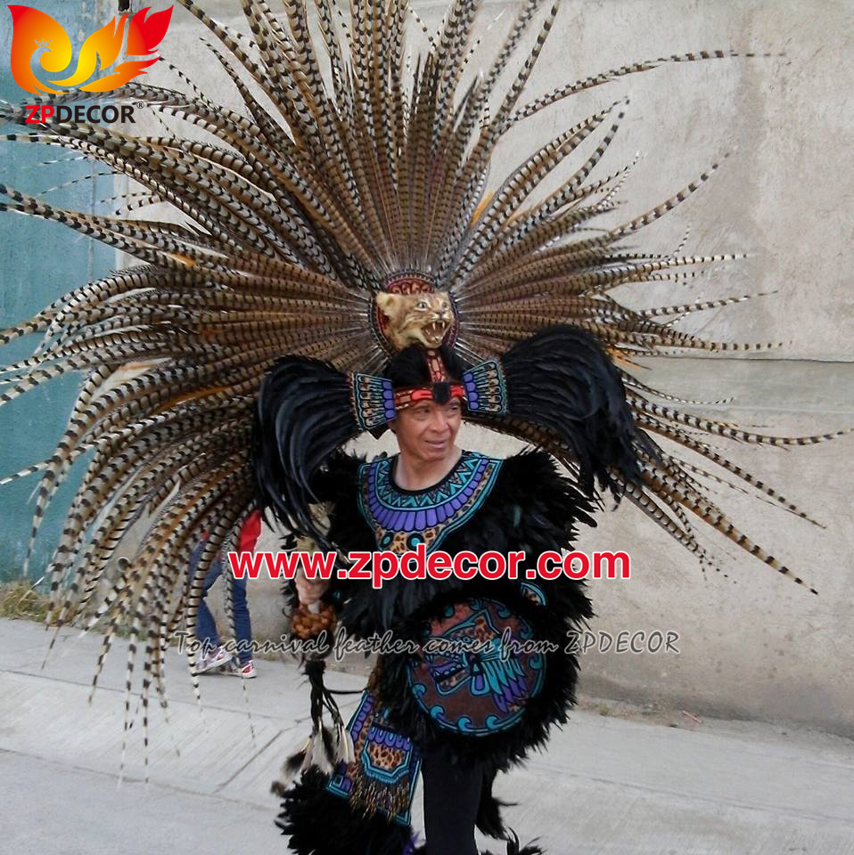 Zpdecor Wholesale Natural Reeves Pheasant Feathers for Carnival Costumes