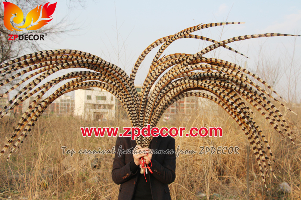 Zpdecor Feathers Wholesale 140-150cm Super Long Natural Reeves Pheasant Tail Feathers