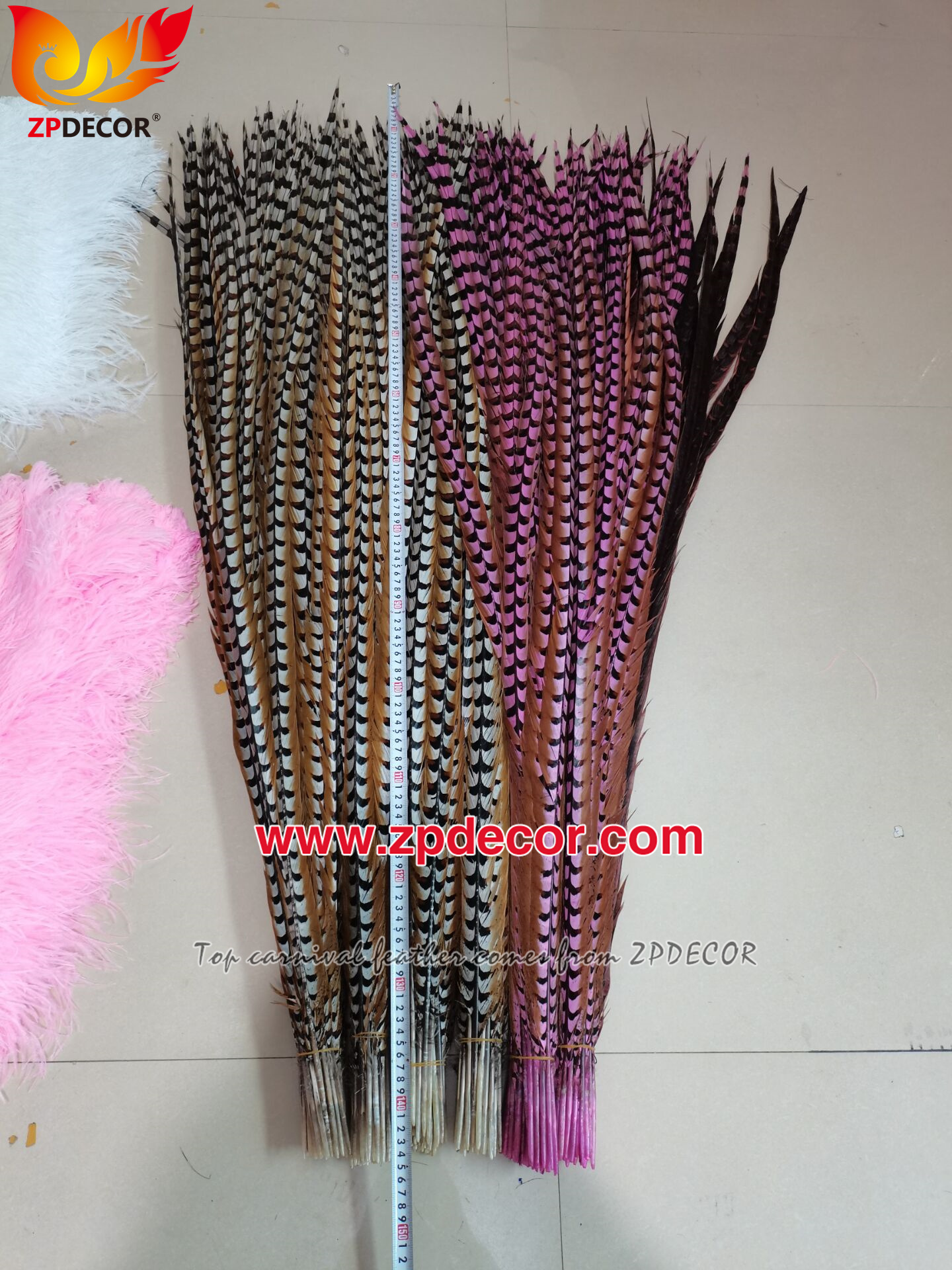 Zpdecor Feathers Factory Wholesale Dyed Reeves Pheasant Tail Feathers