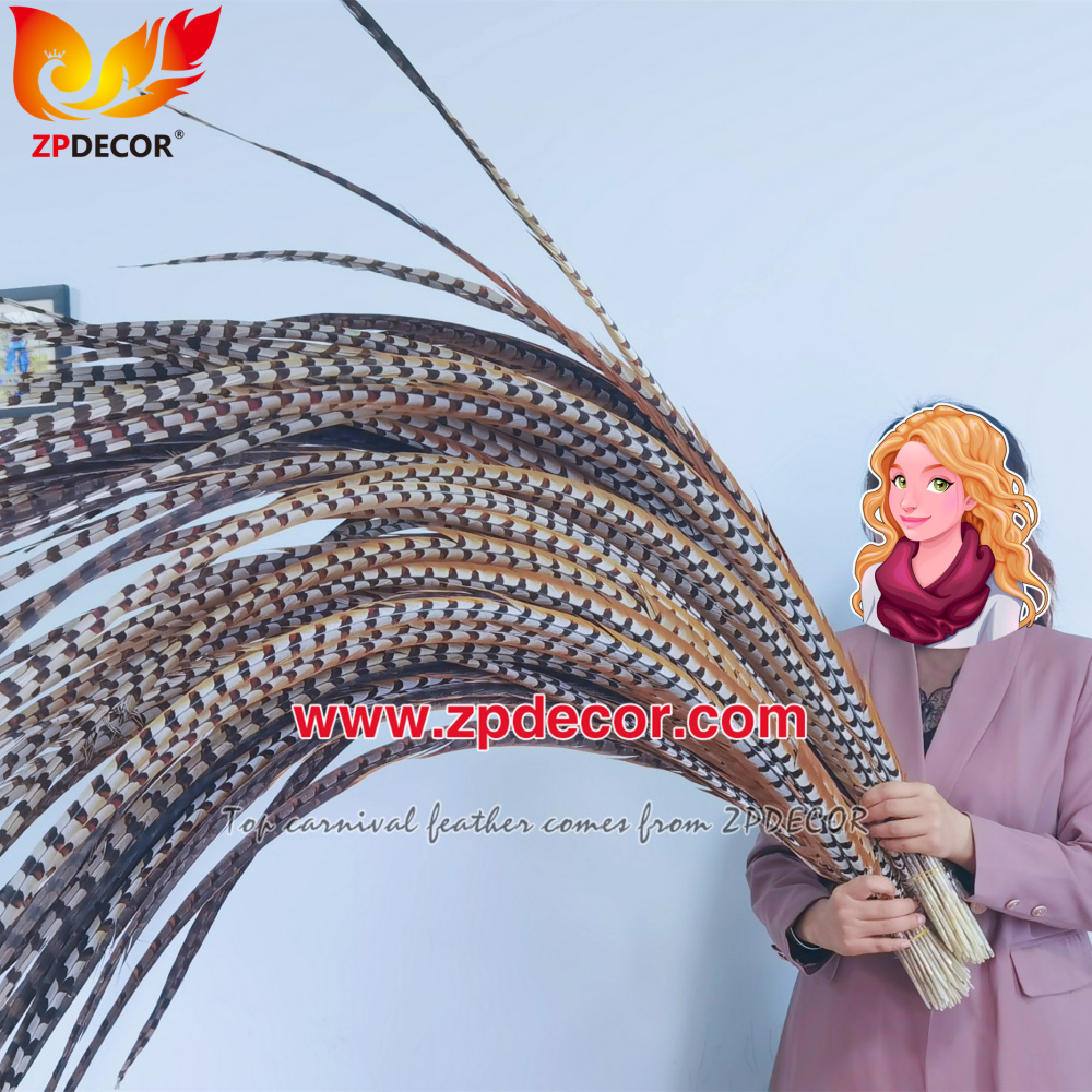Zpdecor Factory Wholesale Natural Reeves Pheasant Feathers for Carnival Costumes
