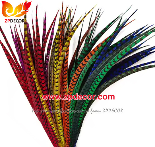 Zpdecor Feathers Factory Wholesale Dyed Reeves Pheasant Tail Feathers