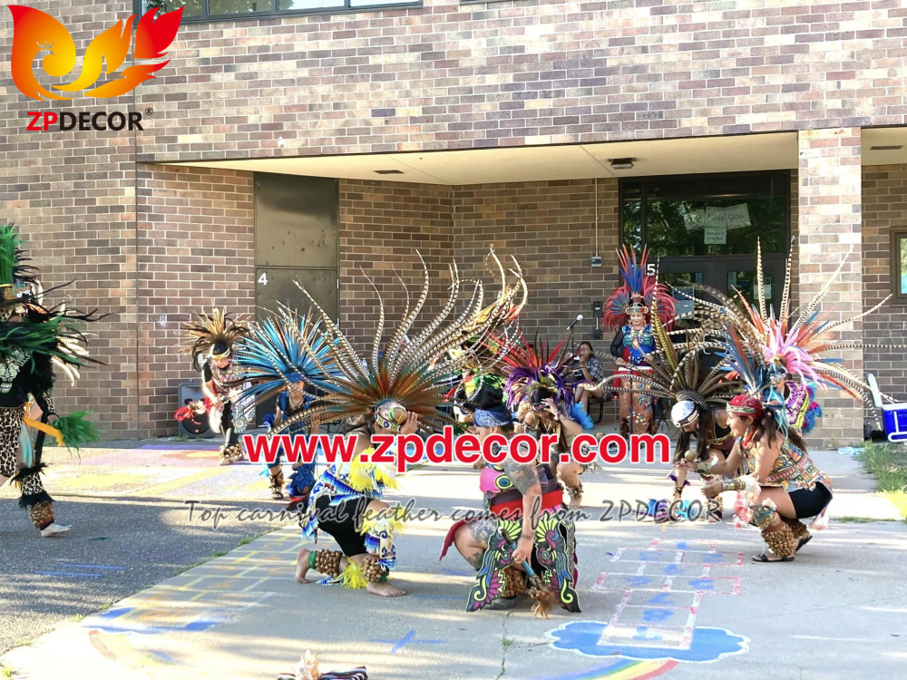 Zpdecor Wholesale Natural Reeves Pheasant Feathers for Carnival Costumes