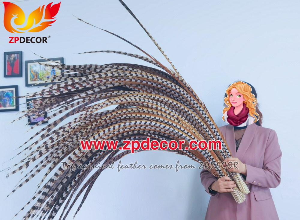 Zpdecor Factory Wholesale Super long Reeve pheasant feathers for Carnival Costumes