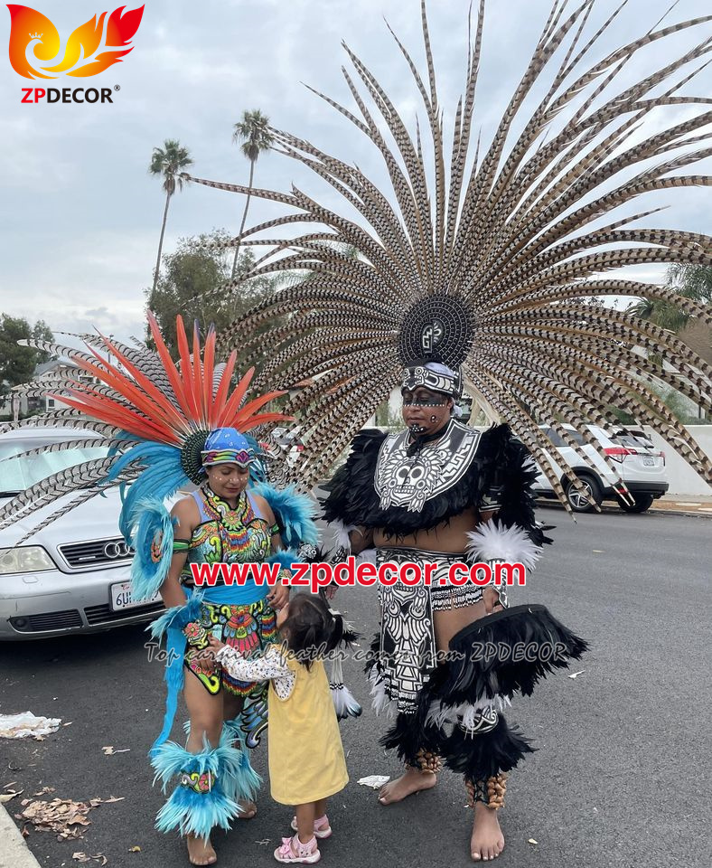 Zpdecor Wholesale Natural Reeves Pheasant Tail Feathers for Carnival Costumes
