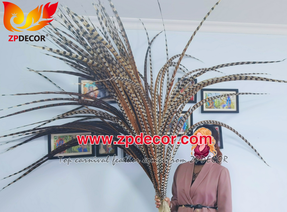 Zpdecor Wholesale Natural Reeves Pheasant Feathers for Carnival Costumes