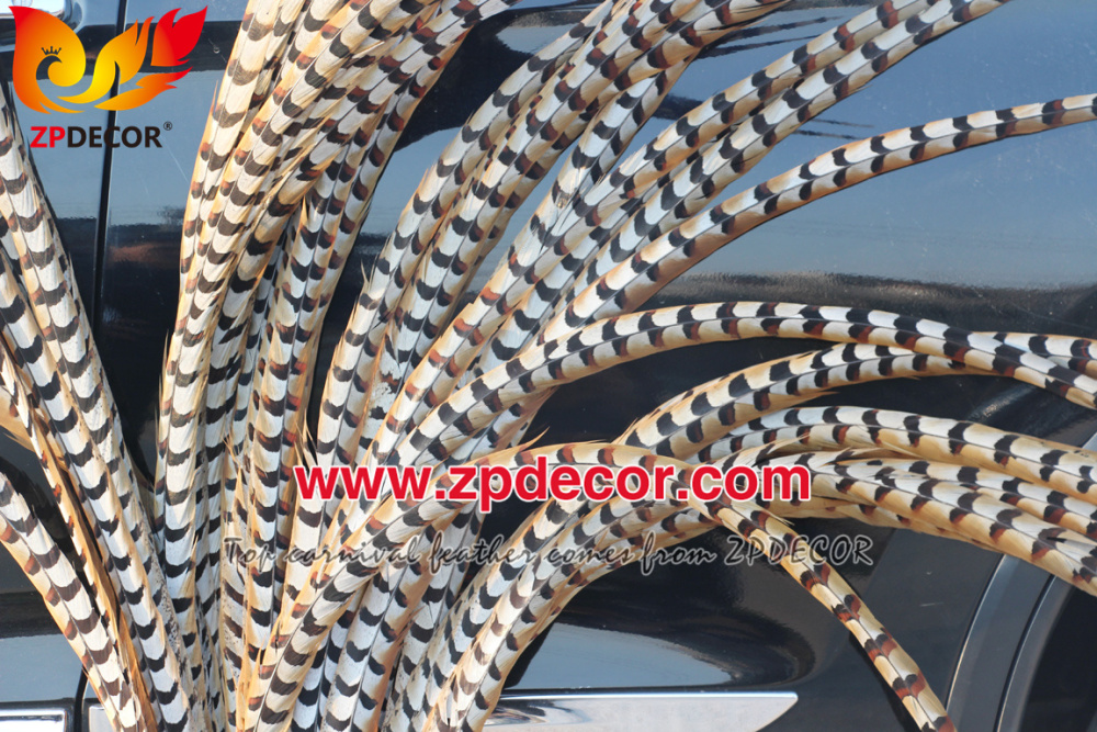 Zpdecor Feathers Wholesale 140-150cm Super Long Natural Reeves Pheasant Tail Feathers