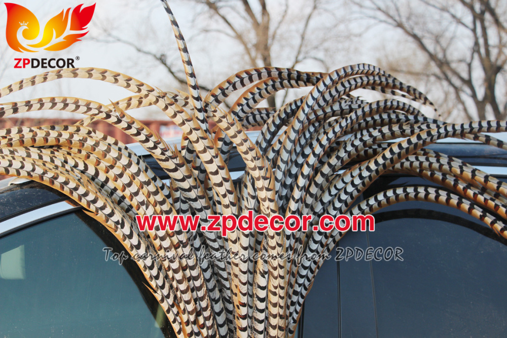 Zpdecor Feathers Wholesale 140-150cm Super Long Natural Reeves Pheasant Tail Feathers