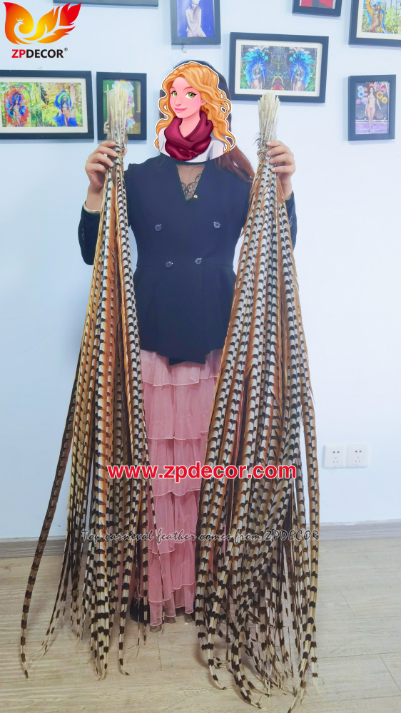 Zpdecor Factory Wholesale Super long Reeve pheasant feathers for Carnival Costumes