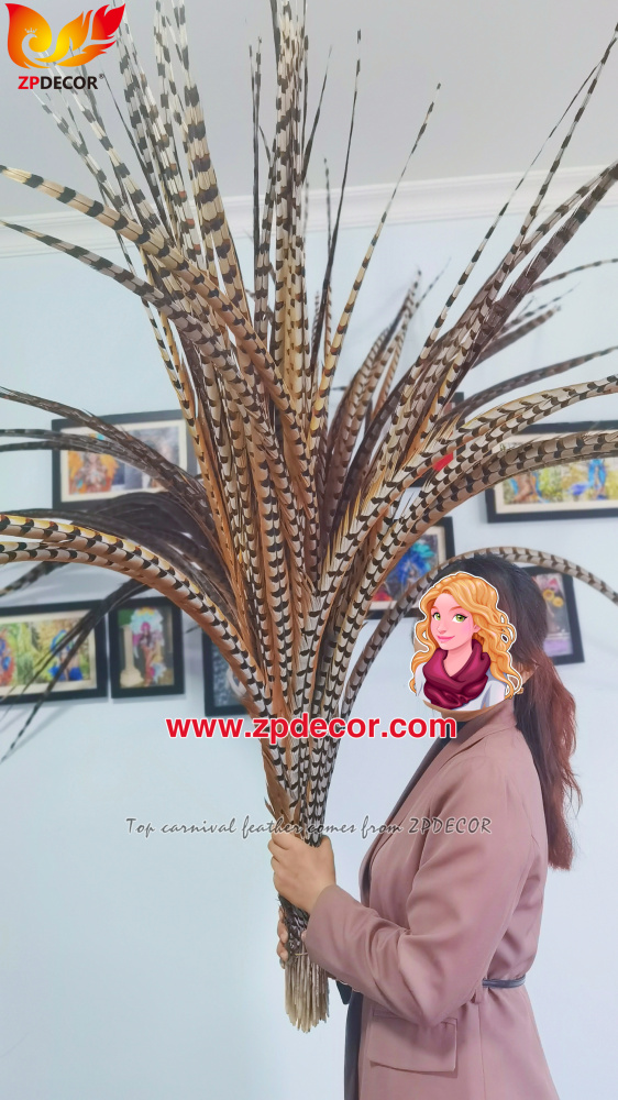 Zpdecor Factory Wholesale Natural Reeves Pheasant Feathers for Carnival Costumes