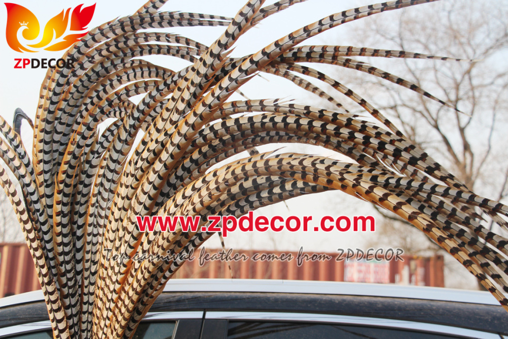 Zpdecor Feathers Wholesale 140-150cm Super Long Natural Reeves Pheasant Tail Feathers