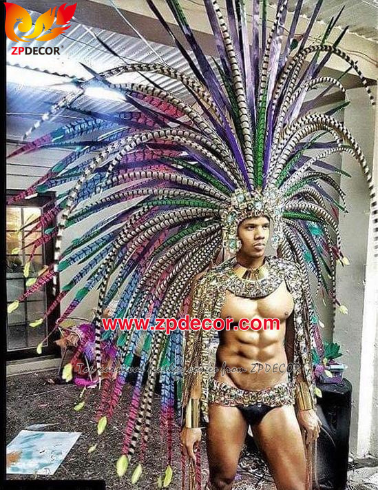 Zpdecor Wholesale Natural Reeves Pheasant Feathers for Carnival Costumes