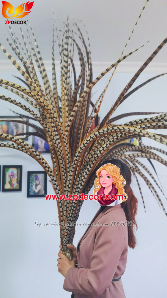 Zpdecor Factory Wholesale Natural Reeves Pheasant Feathers for Carnival Costumes