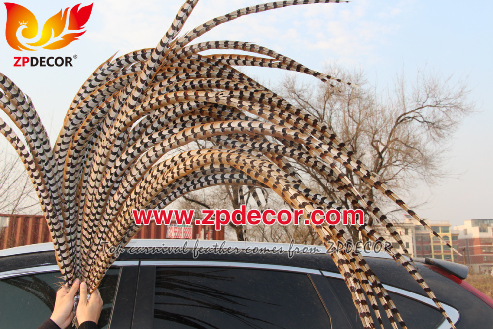 Zpdecor Feathers Wholesale 140-150cm Super Long Natural Reeves Pheasant Tail Feathers