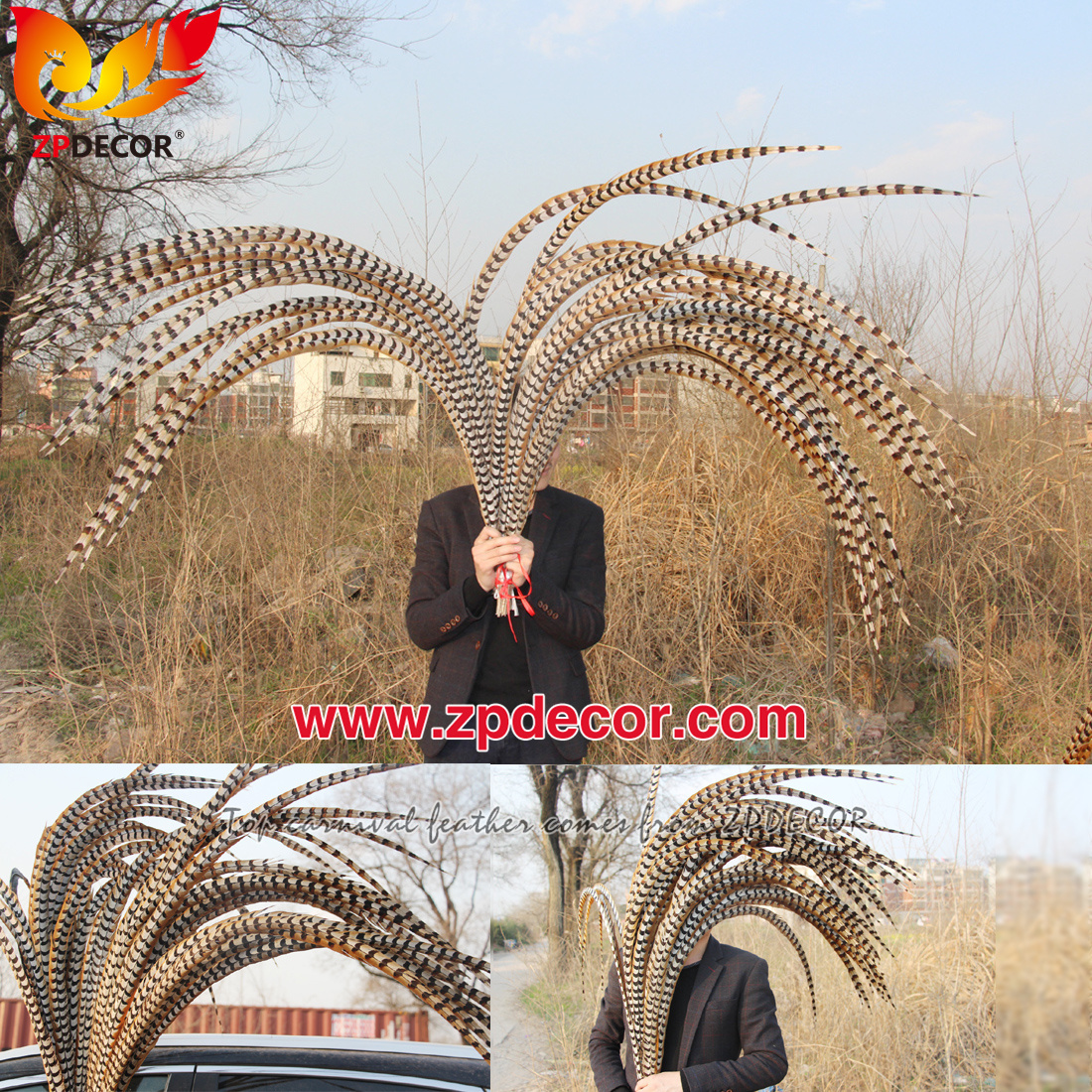 Zpdecor Feathers Wholesale 140-150cm Super Long Natural Reeves Pheasant Tail Feathers