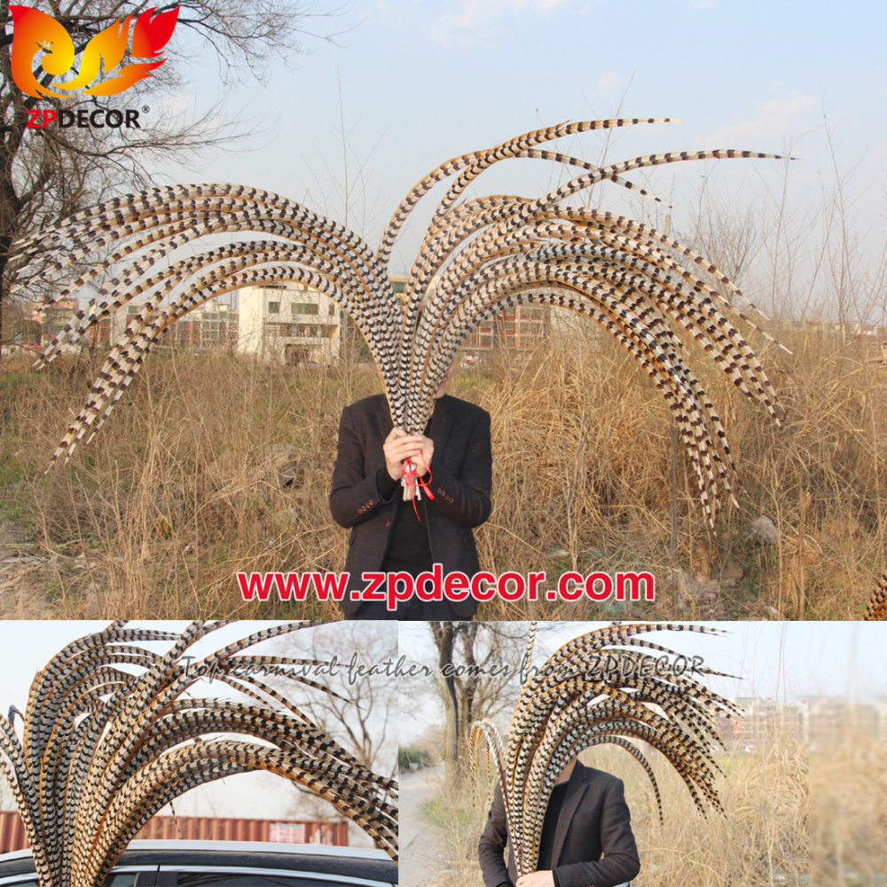 Zpdecor Feathers Wholesale 140-150cm Super Long Natural Reeves Pheasant Tail Feathers