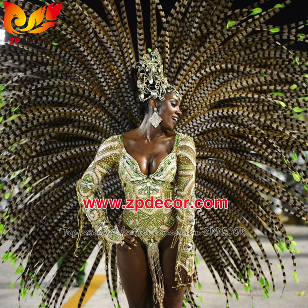 Factory Wholesale Reeves Pheasant Tail Feathers for Carnival Costumes