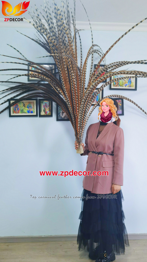 Zpdecor Factory Wholesale Super long Reeve pheasant feathers for Carnival Costumes