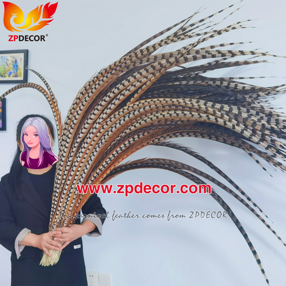 Zpdecor Wholesale Natural Reeves Pheasant Tail Feathers for Carnival Costumes