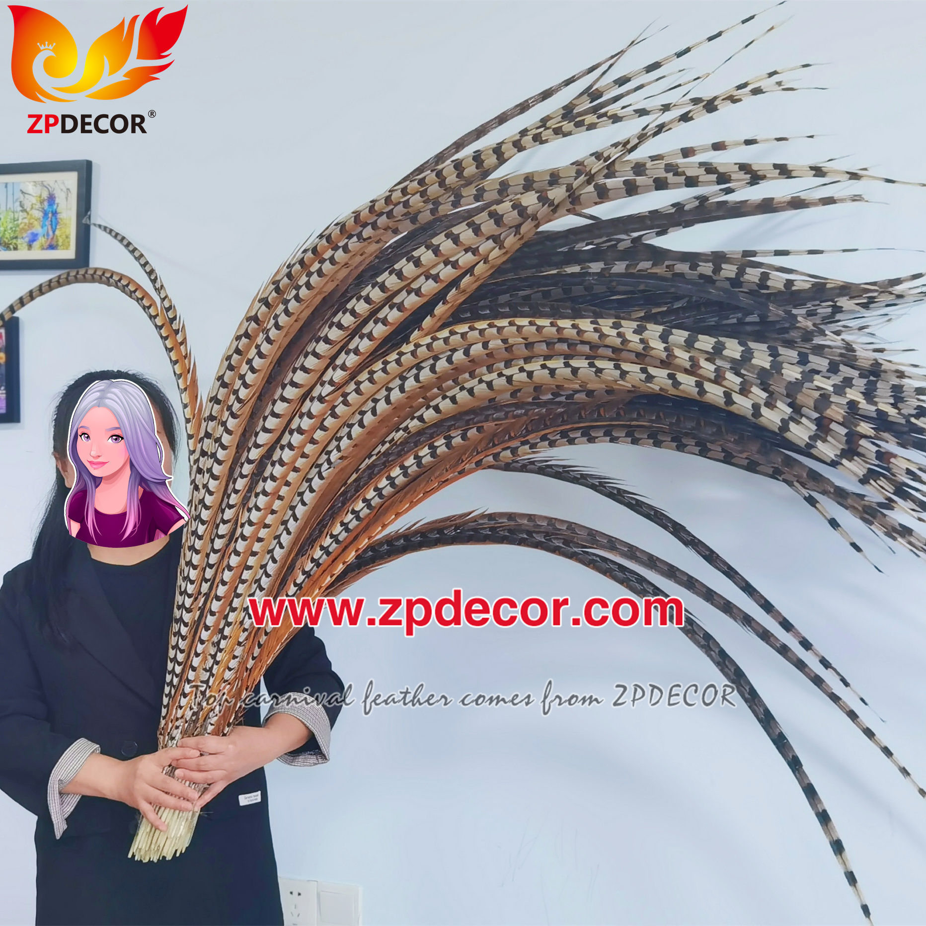 Factory Wholesale Natural Reeves Pheasant Feathers