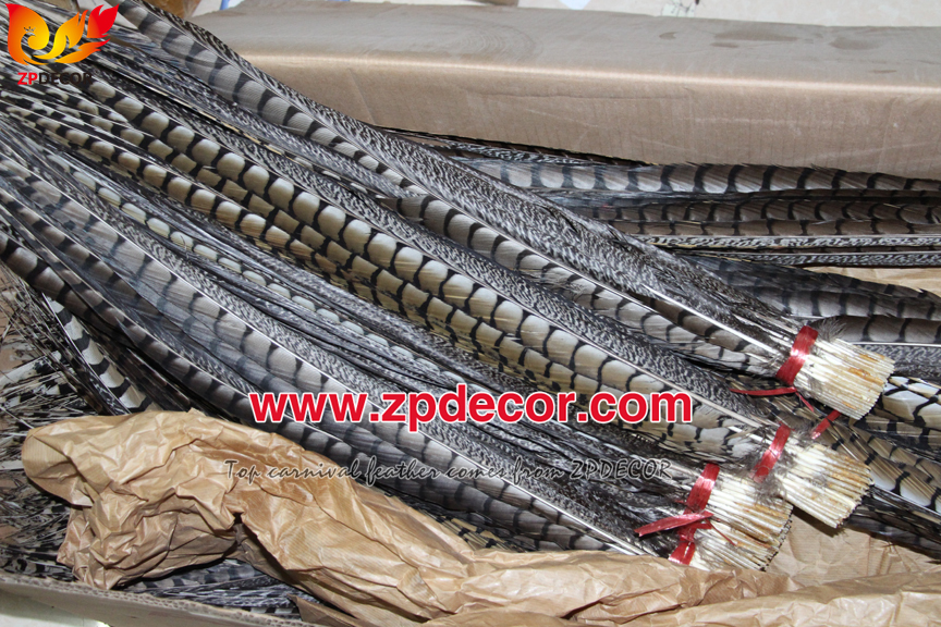 Zpdecor Feathers Factory Wholesale Natural Lady amherst tail pheasant feather