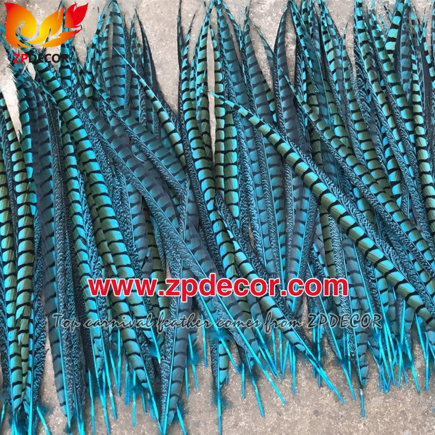 Zpdecor Feathers Factory Wholesale Natural Lady amherst tail pheasant feather