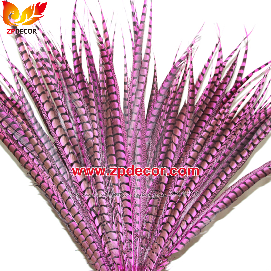 Zpdecor Feathers Factory Wholesale Dyed Lady amherst tail pheasant feather