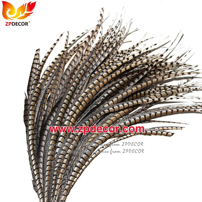 Zpdecor Feathers Factory Wholesale 80-90 cm Natural Lady amherst tail pheasant feather