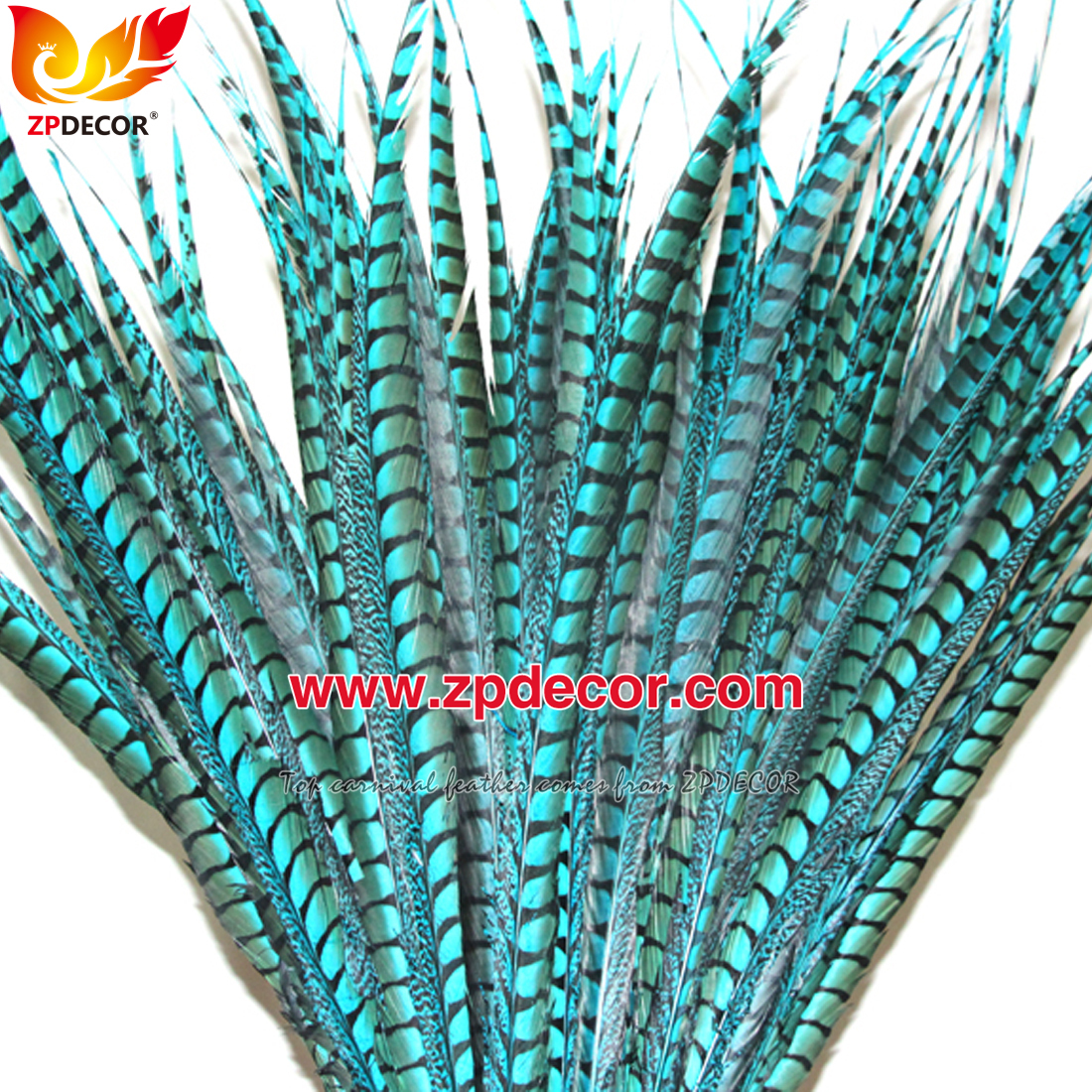 Zpdecor Feathers Factory Wholesale Dyed Lady amherst tail pheasant feather
