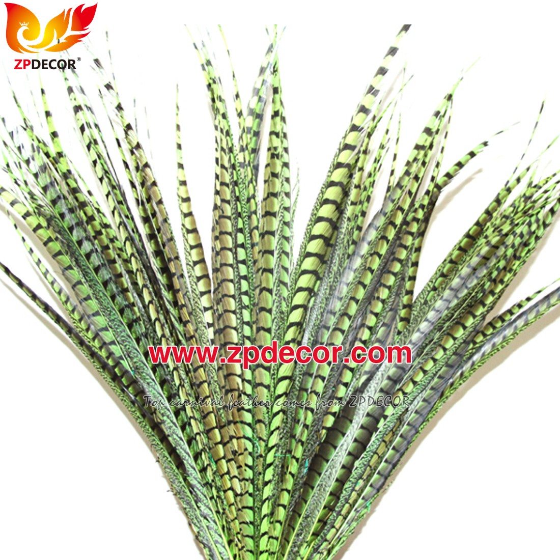 Zpdecor Feathers Factory Wholesale Dyed Lady amherst tail pheasant feather