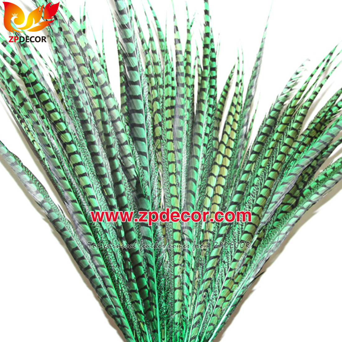 Zpdecor Feathers Factory Wholesale Dyed Lady amherst tail pheasant feather